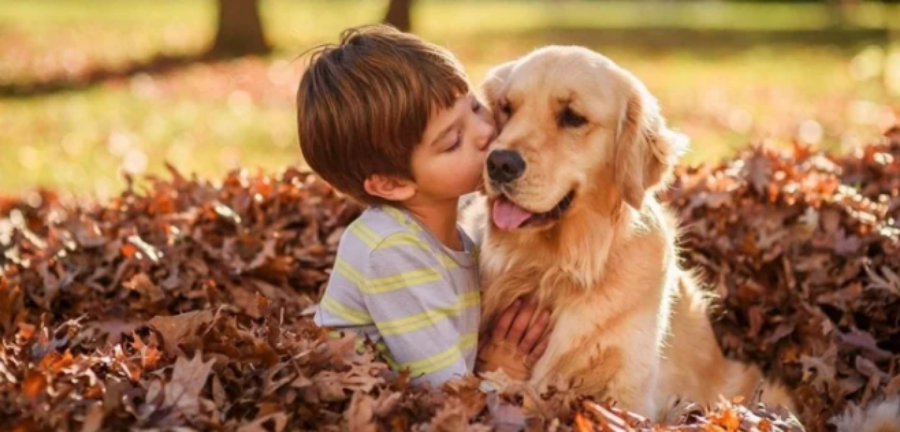 Tại sao mỗi nhà phải có nuôi một bé thú cưng?